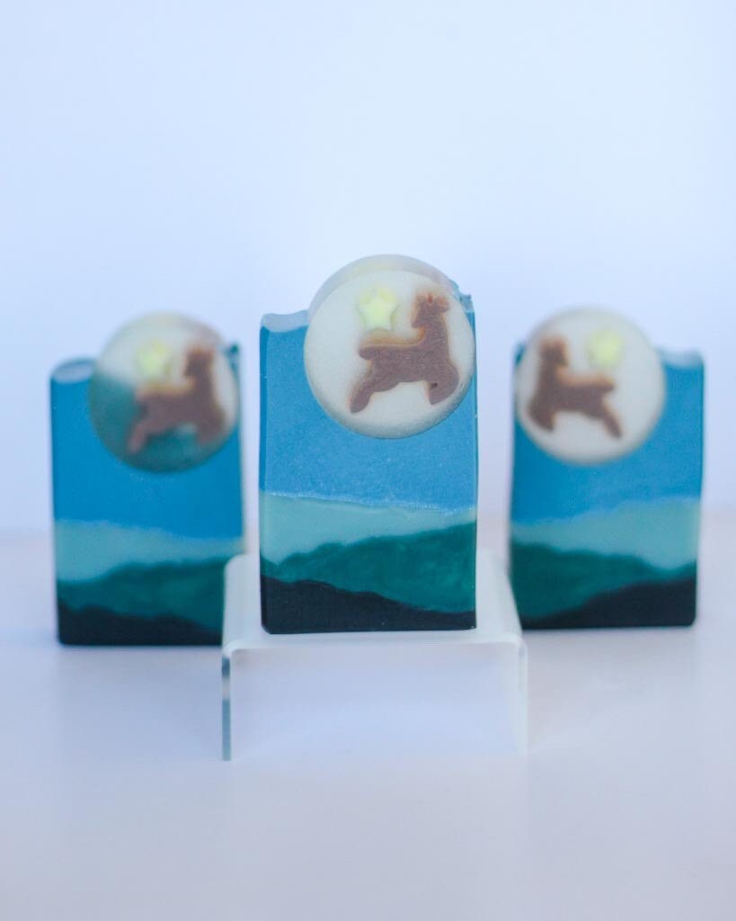 This Way Yonder | Coastal Forest Scent