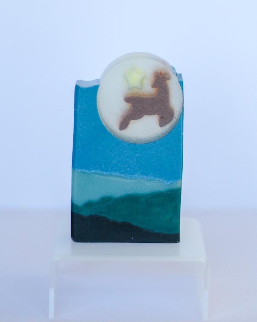 This Way Yonder | Coastal Forest Scent
