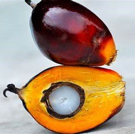 Why Use Palm Oil?