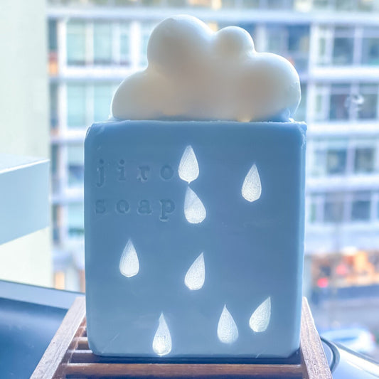 Rainy Day Delights: 5 Free Activities to Enjoy in Vancouver