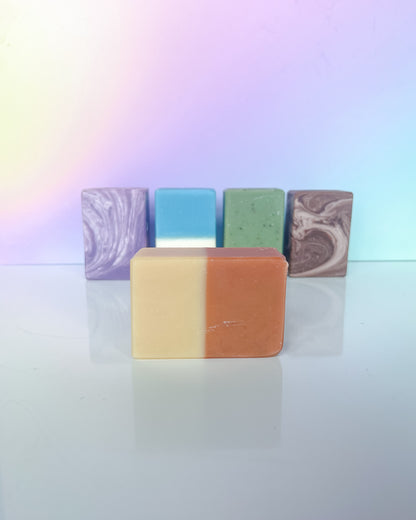 Bonsai & Citrus Ginger Bar Soap - 5oz | succulent citrus and woodsy scent