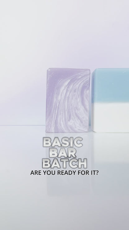 Bonsai & Citrus Ginger Bar Soap - 5oz | succulent citrus and woodsy scent