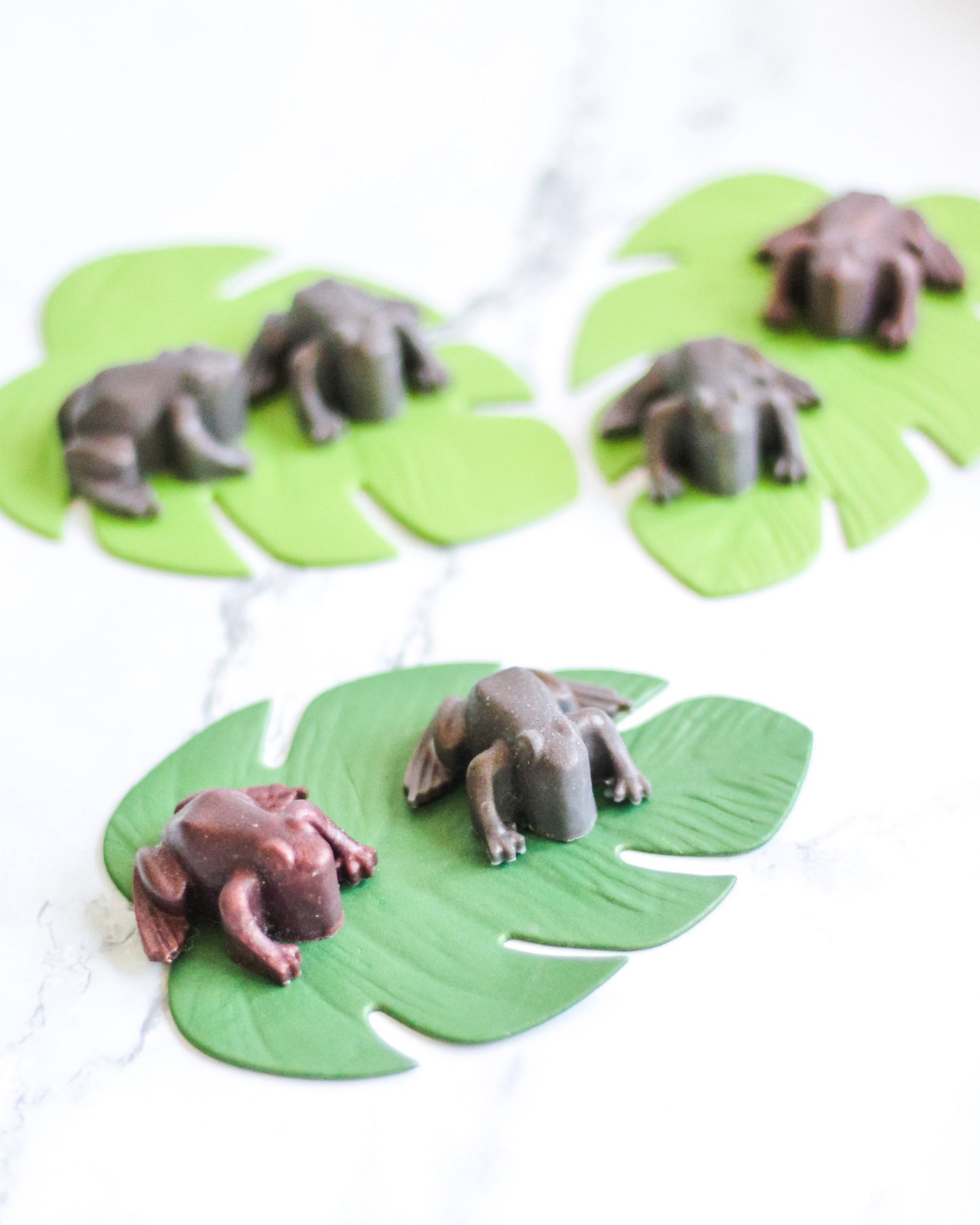 Chocolate Frogs | Handmade Soap | Set of 6