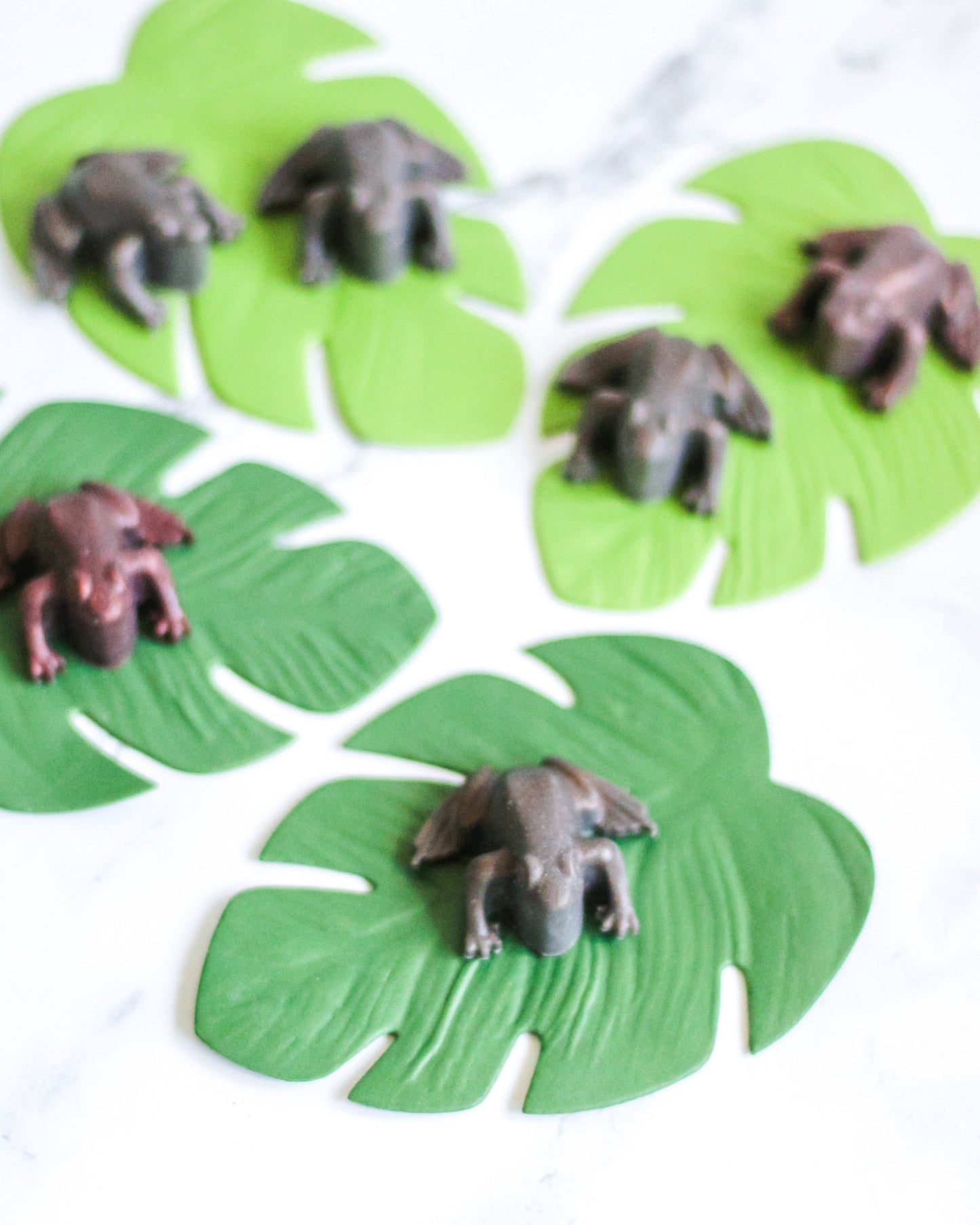 Chocolate Frogs | Handmade Soap | Set of 6