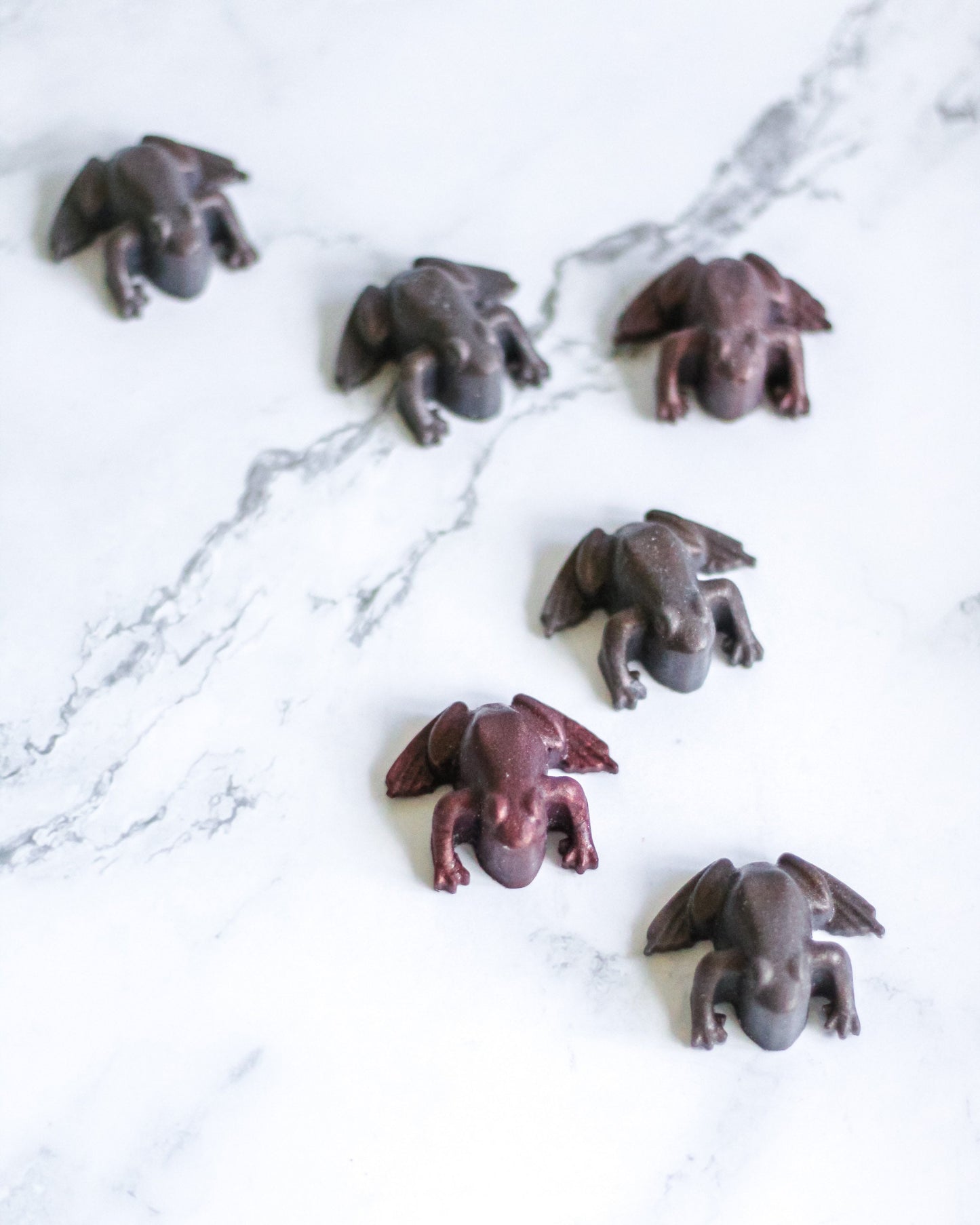 Chocolate Frogs | Handmade Soap | Set of 6