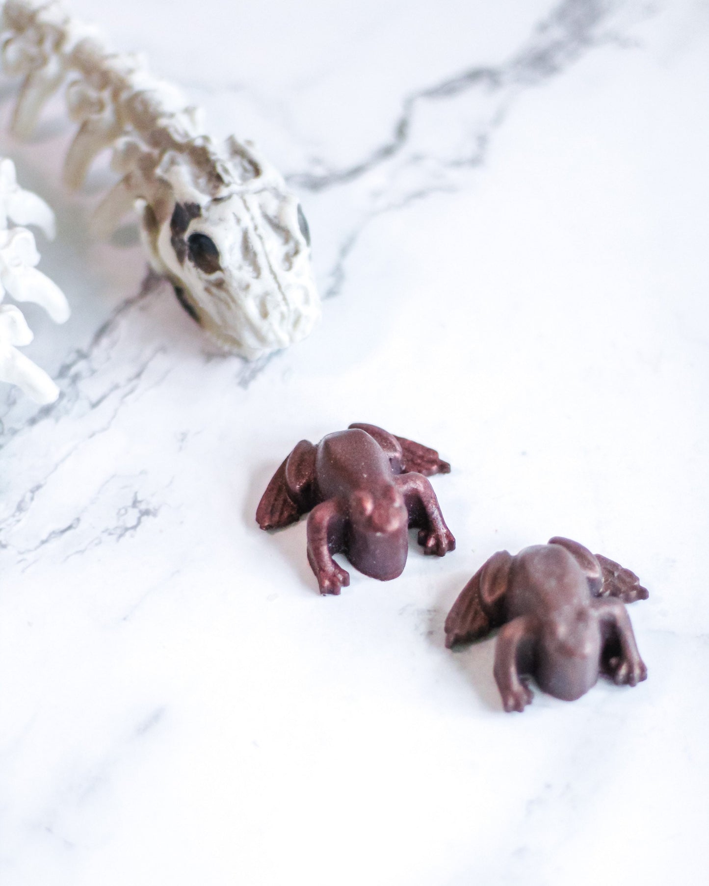 Chocolate Frogs | Handmade Soap | Set of 6