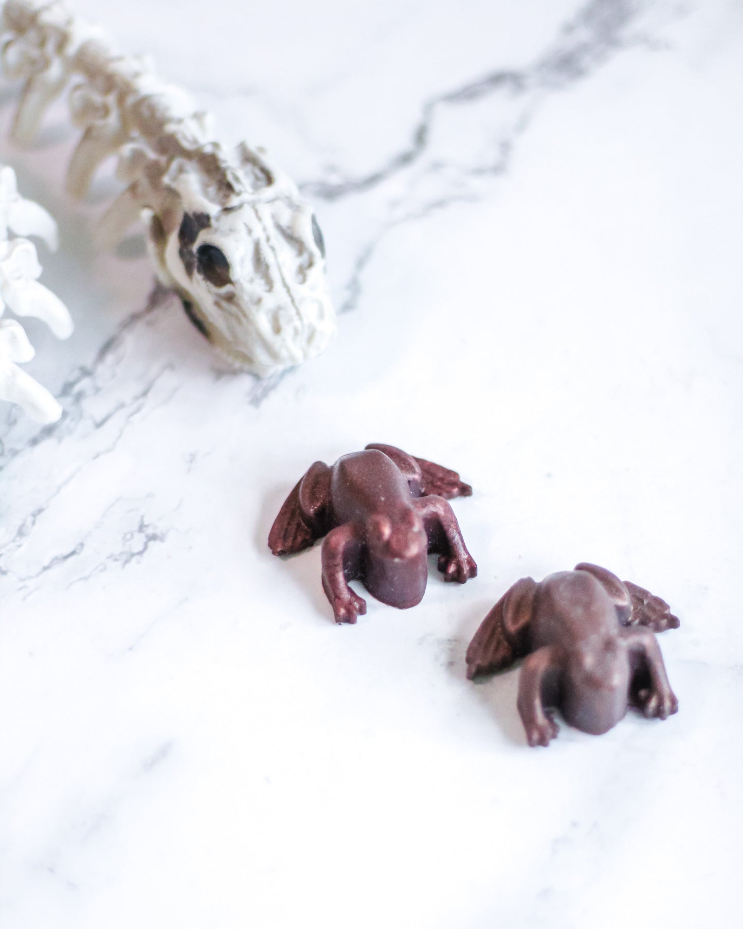 Chocolate Frogs | Vegan Handmade Soap or Ecosoy Wax Melts  | Set of 6
